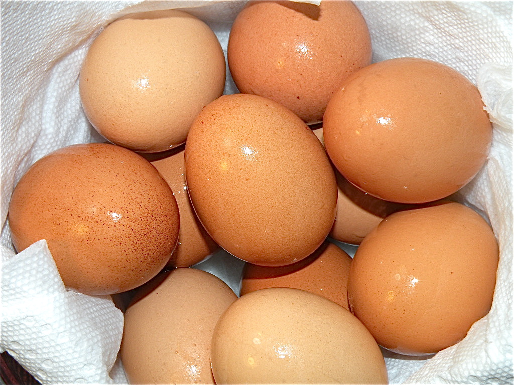 Яйца лучше купить. Яйца в кулинарии. Самый яичный. Самое популярное яйцо. До самых яиц.
